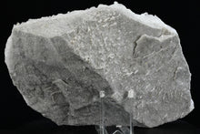 Load image into Gallery viewer, Quartz Crystal Cluster (Large) 14in x 10in x 4.5in - SN AM000036
