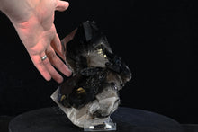 Load image into Gallery viewer, Smoky Quartz Crystal Cluster (Medium) 10in x 5in x 4in - SN AM000058
