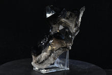 Load image into Gallery viewer, Smoky Quartz Crystal Cluster (Medium) 10in x 5in x 4in - SN AM000058
