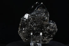 Load image into Gallery viewer, Smoky Quartz Crystal Cluster (Large) 10in x 7.5in x 4.5in - SN AM000061
